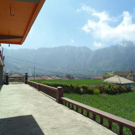 Tengger Indah Homestay Бромо Экстерьер фото