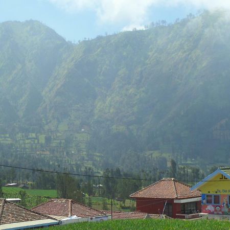 Tengger Indah Homestay Бромо Экстерьер фото