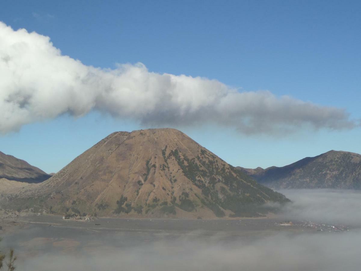 Tengger Indah Homestay Бромо Экстерьер фото