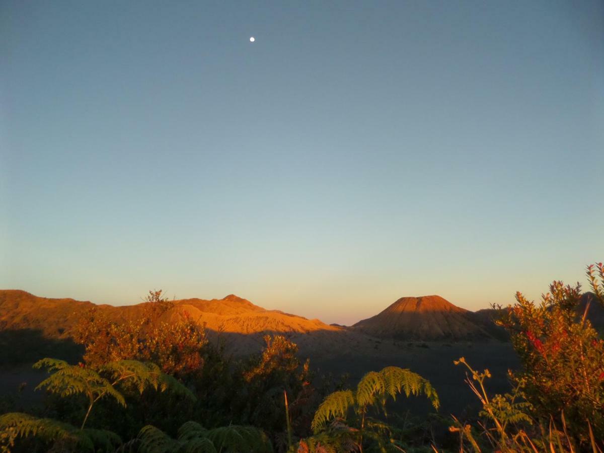 Tengger Indah Homestay Бромо Экстерьер фото