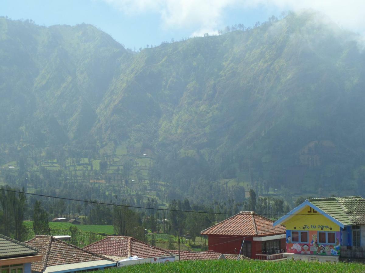 Tengger Indah Homestay Бромо Экстерьер фото